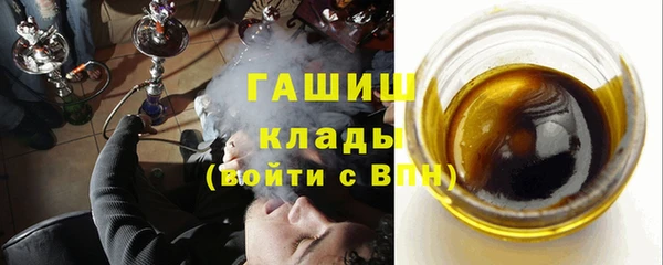 стаф Инта