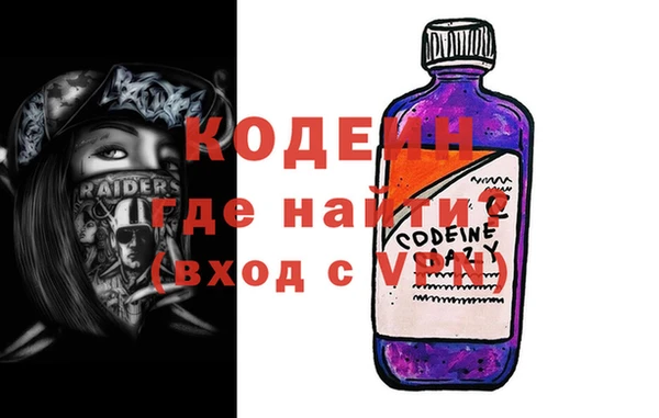 стаф Инта