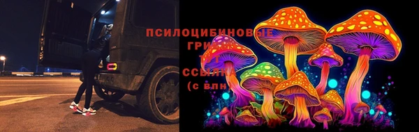 марки nbome Инсар