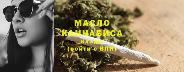 стаф Инта