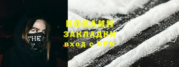 стаф Инта
