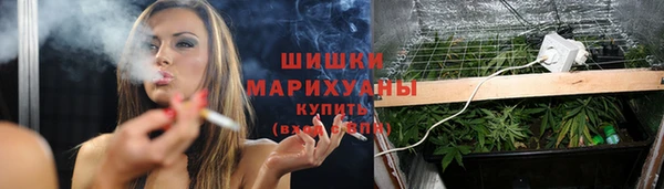 стаф Инта