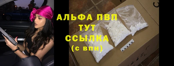 стаф Инта