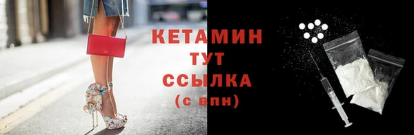 стаф Инта