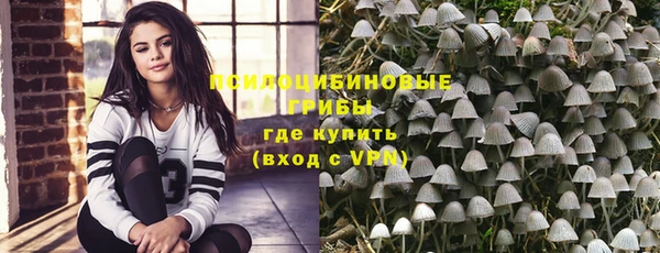 стаф Инта