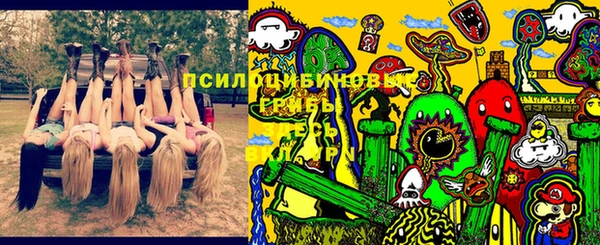 PSILOCYBIN Каменка