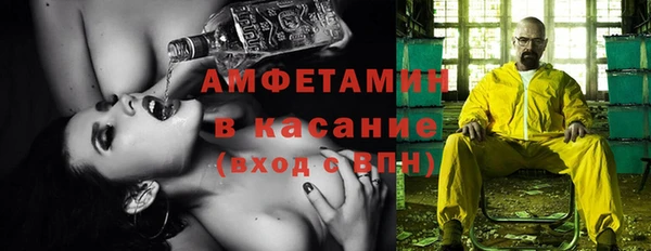 стаф Инта